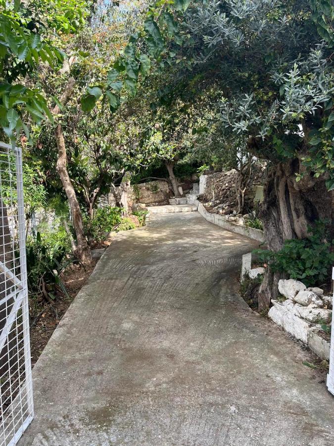 Aegean Summer House Poros Town المظهر الخارجي الصورة